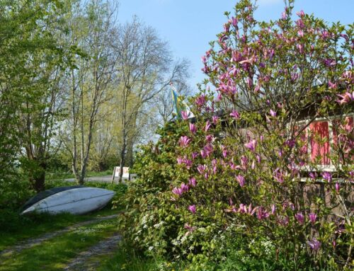 Natuurcamping De Boerderij